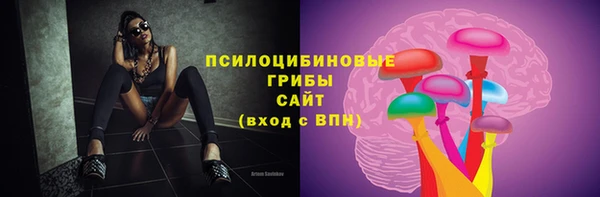 дурь Верхний Тагил