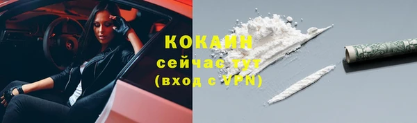 прущие грибы Верхнеуральск